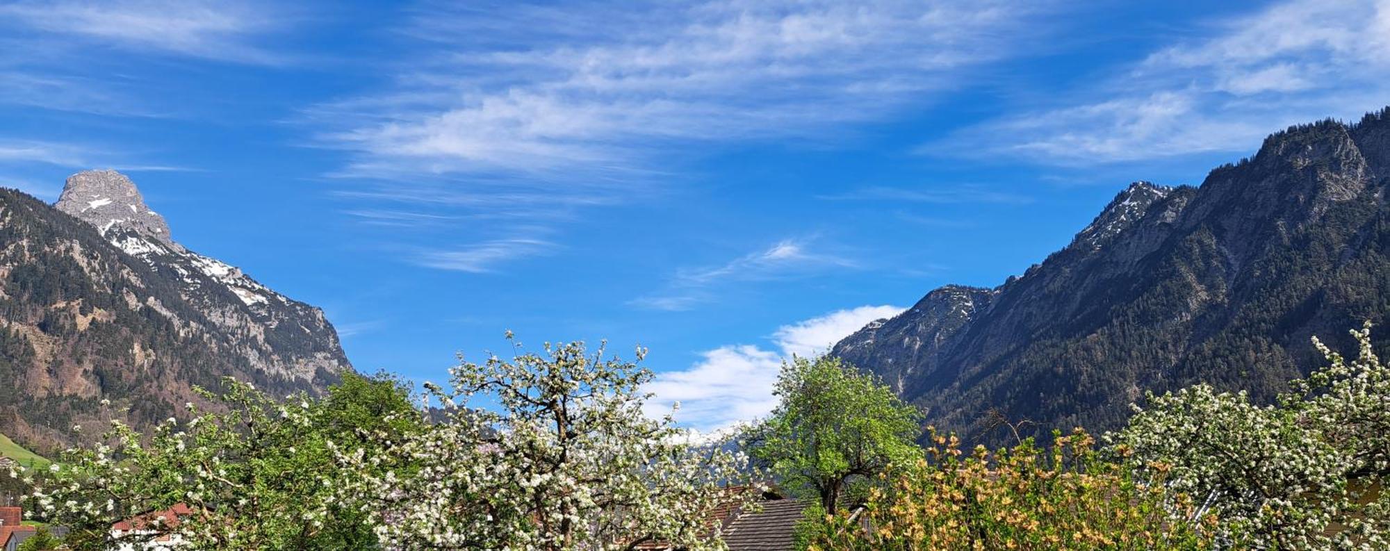 Baers Mountain Stay Ausserbraz Innerbraz Buitenkant foto