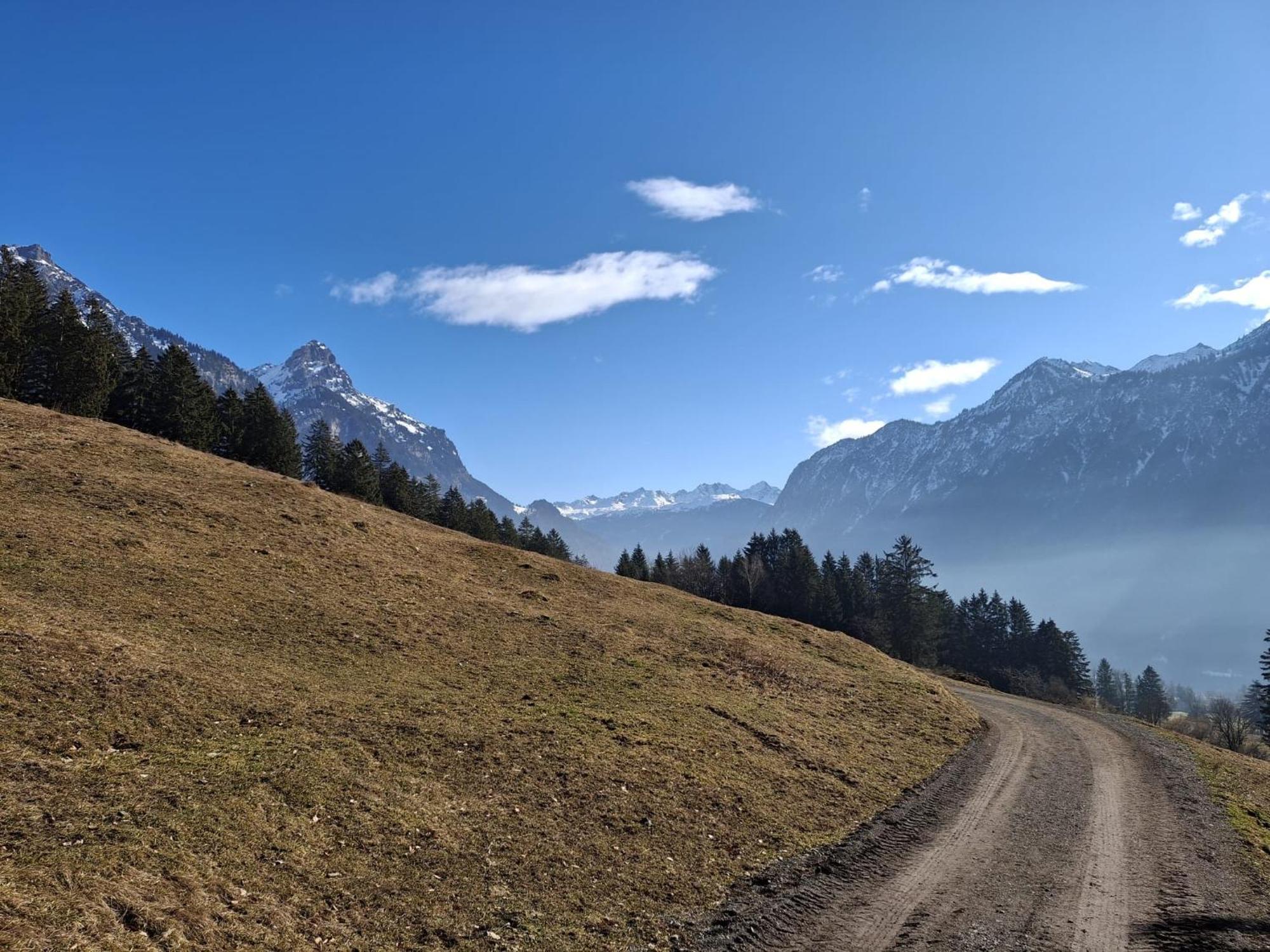 Baers Mountain Stay Ausserbraz Innerbraz Buitenkant foto