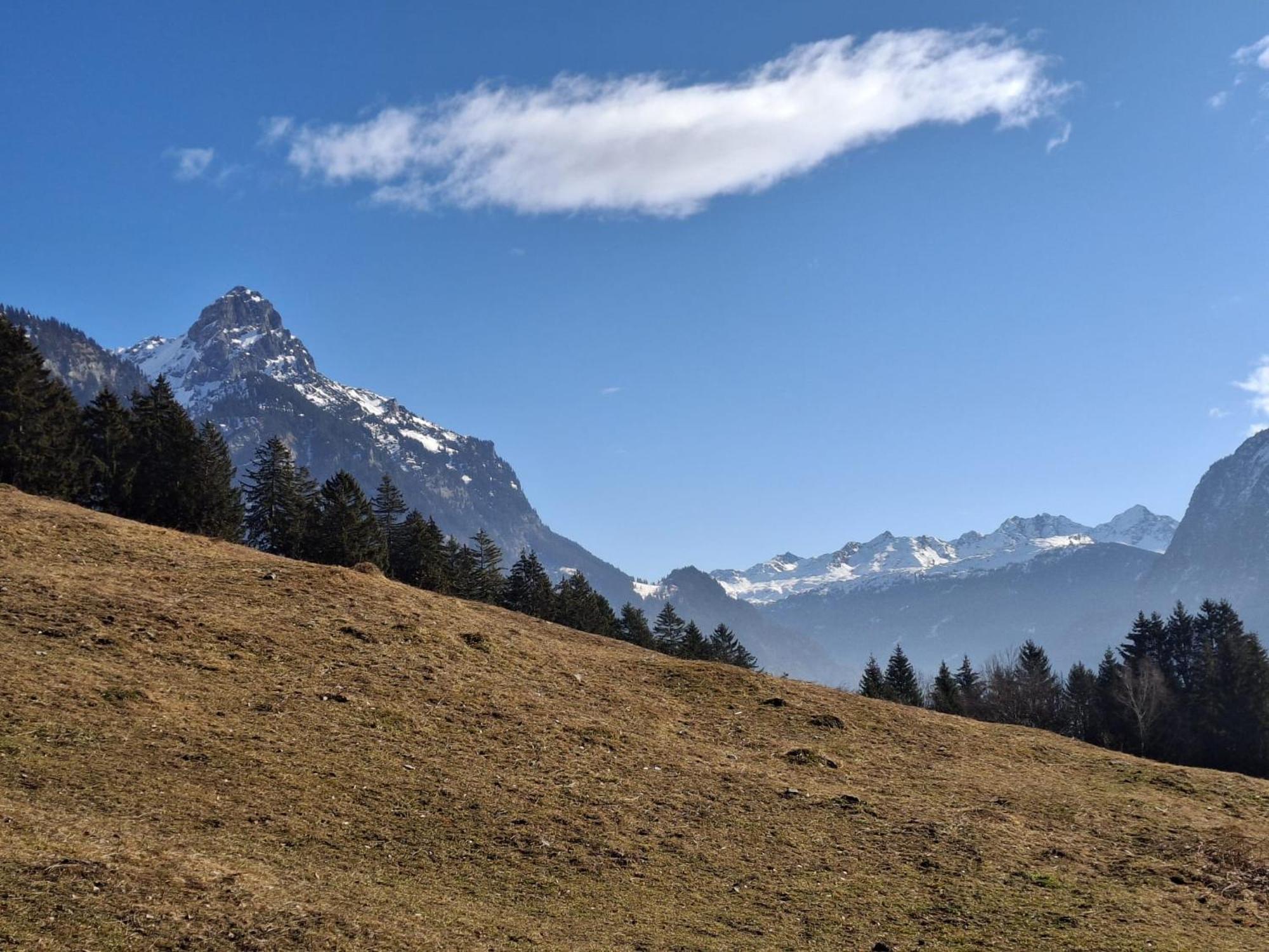 Baers Mountain Stay Ausserbraz Innerbraz Buitenkant foto